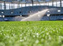 巴西国家队,月备战计划,日集结,鸿发彩票开奖查询,开奖结果,互动预测平台,实时开奖,手机开奖查询